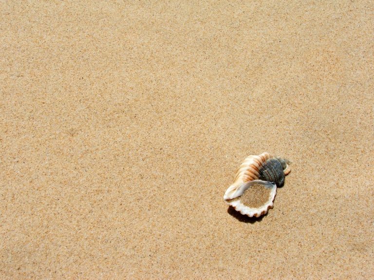 The different product manager interview